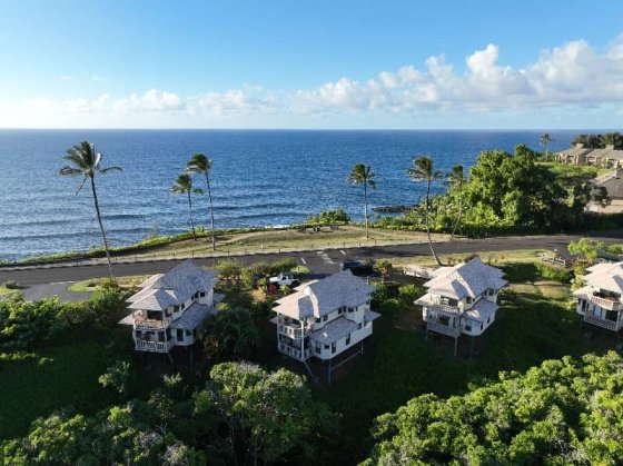 Hanalei Bay Villas Close Up Aerial Photo