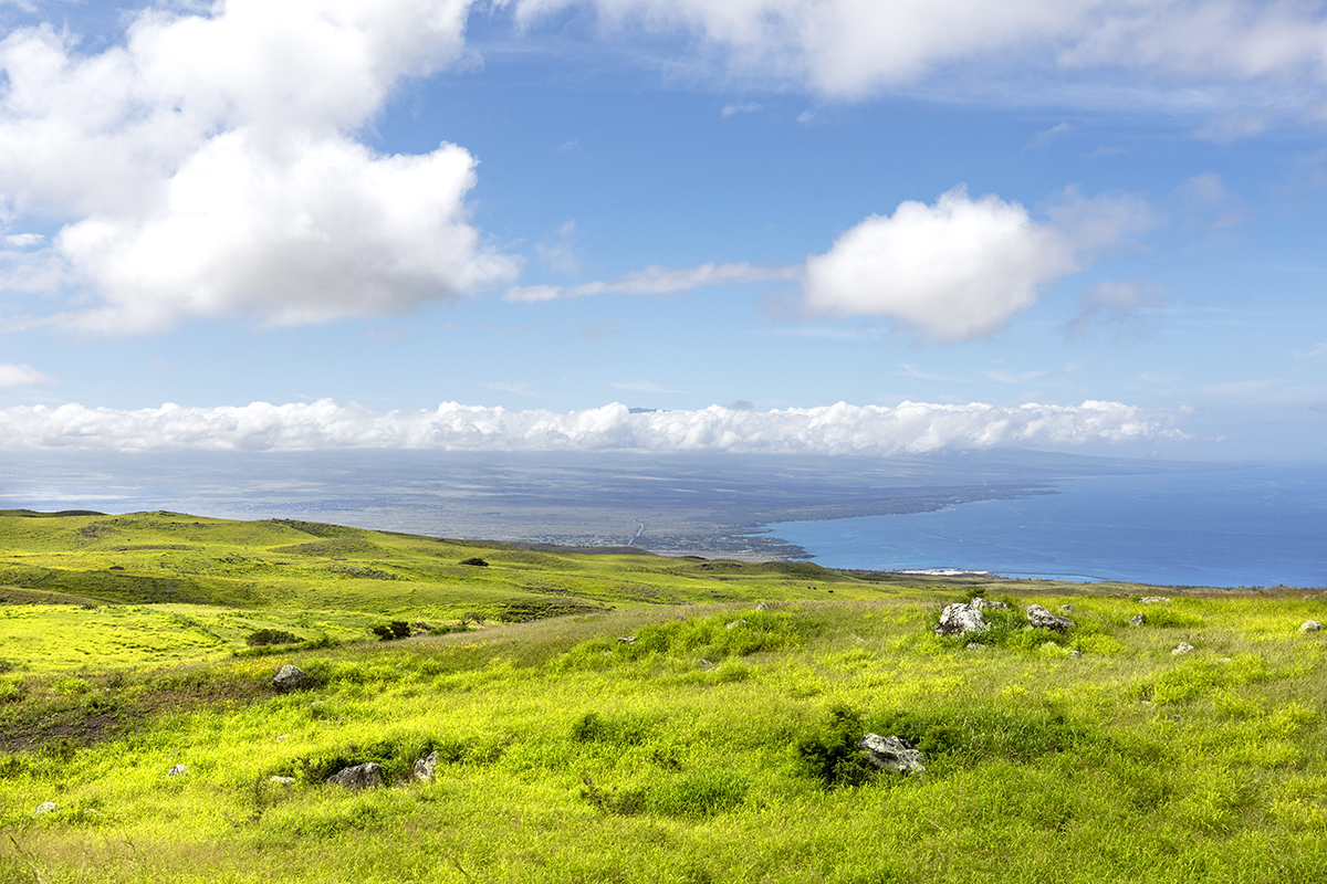 59190 MALA PL , Kamuela, HI 445,000 Land for Sale