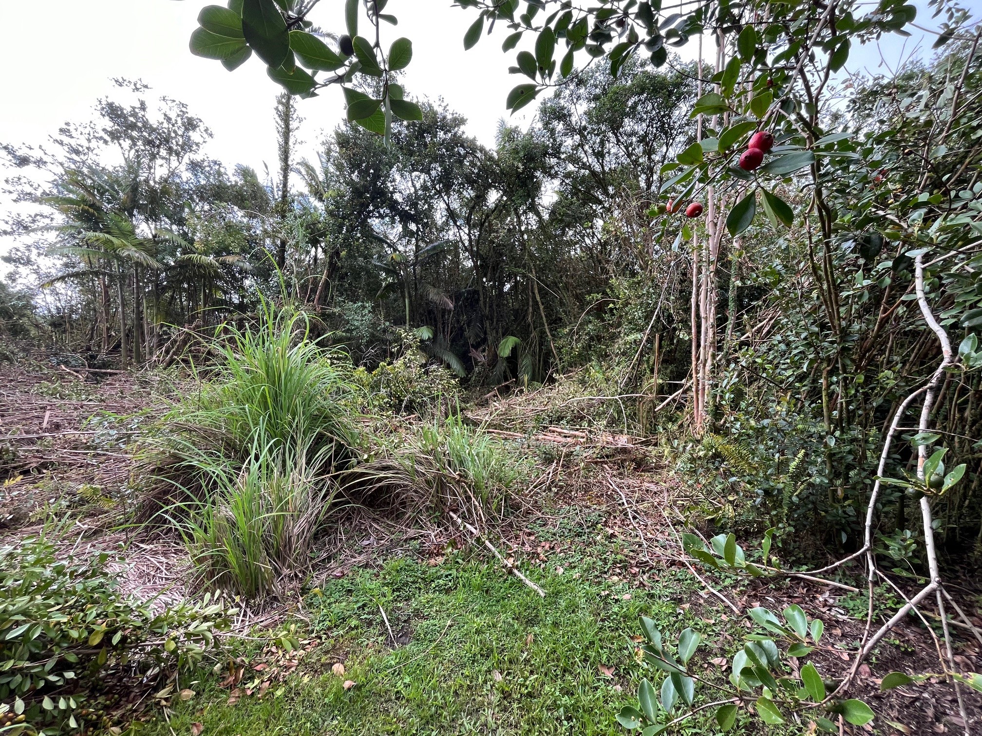 , Hilo, HI 160,000 Land for Sale