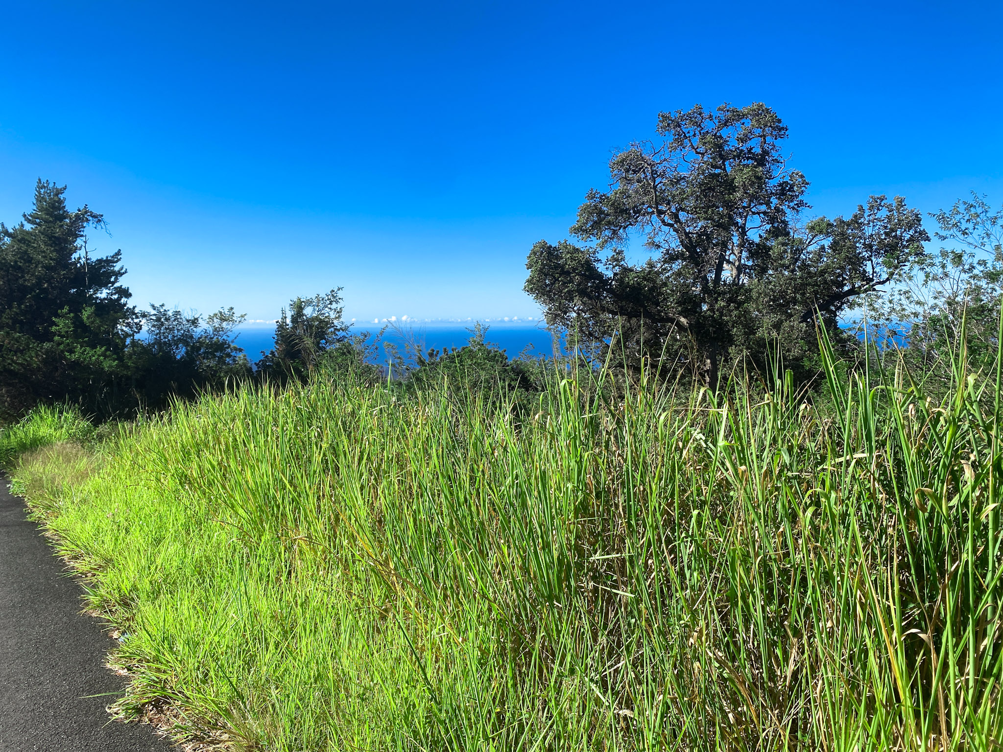 KING KAMEHAMEHA BLVD , Ocean View, HI 25,000 Land for Sale