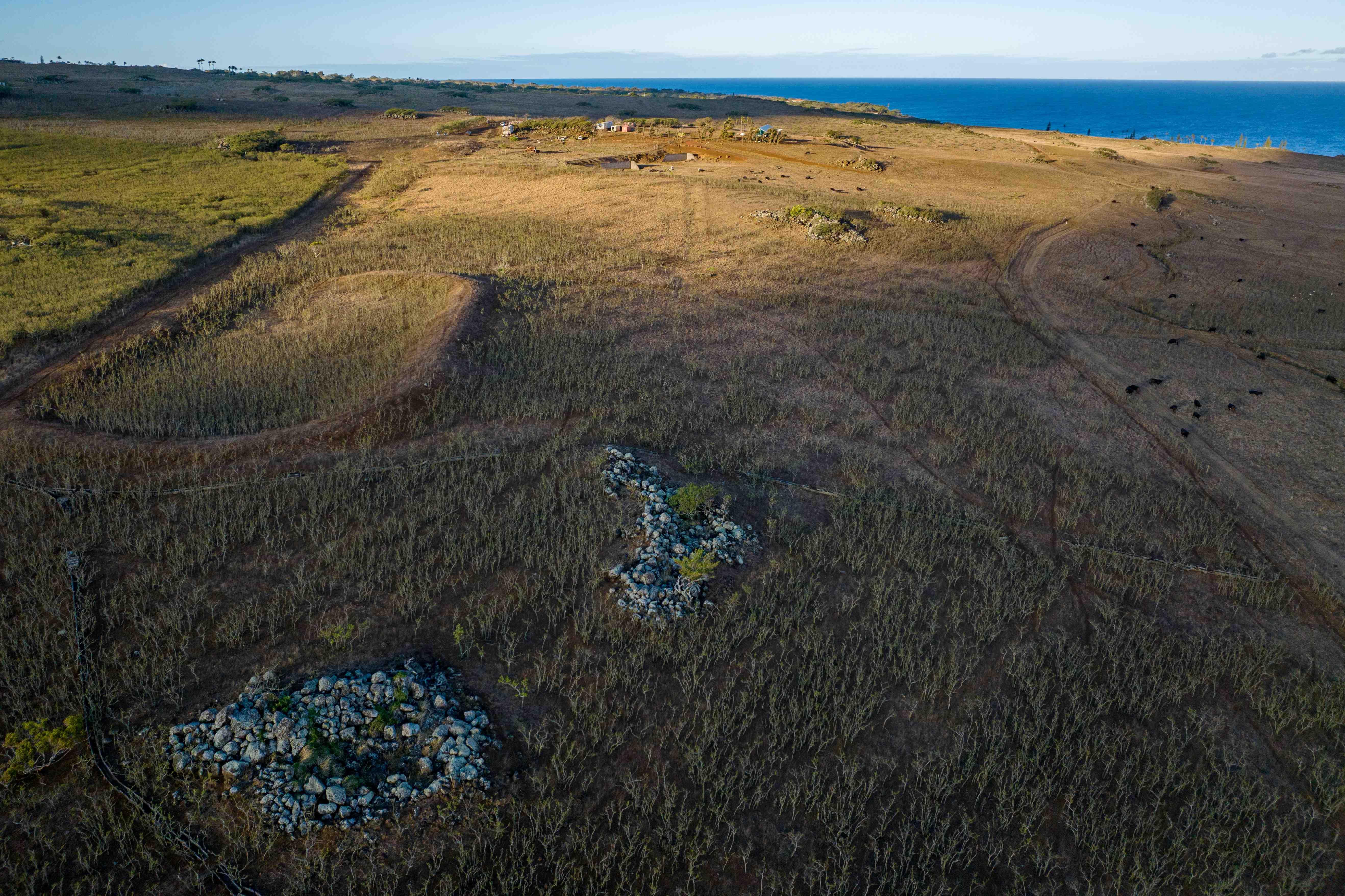 Photo 14 of Lincoln Ave, Hawi