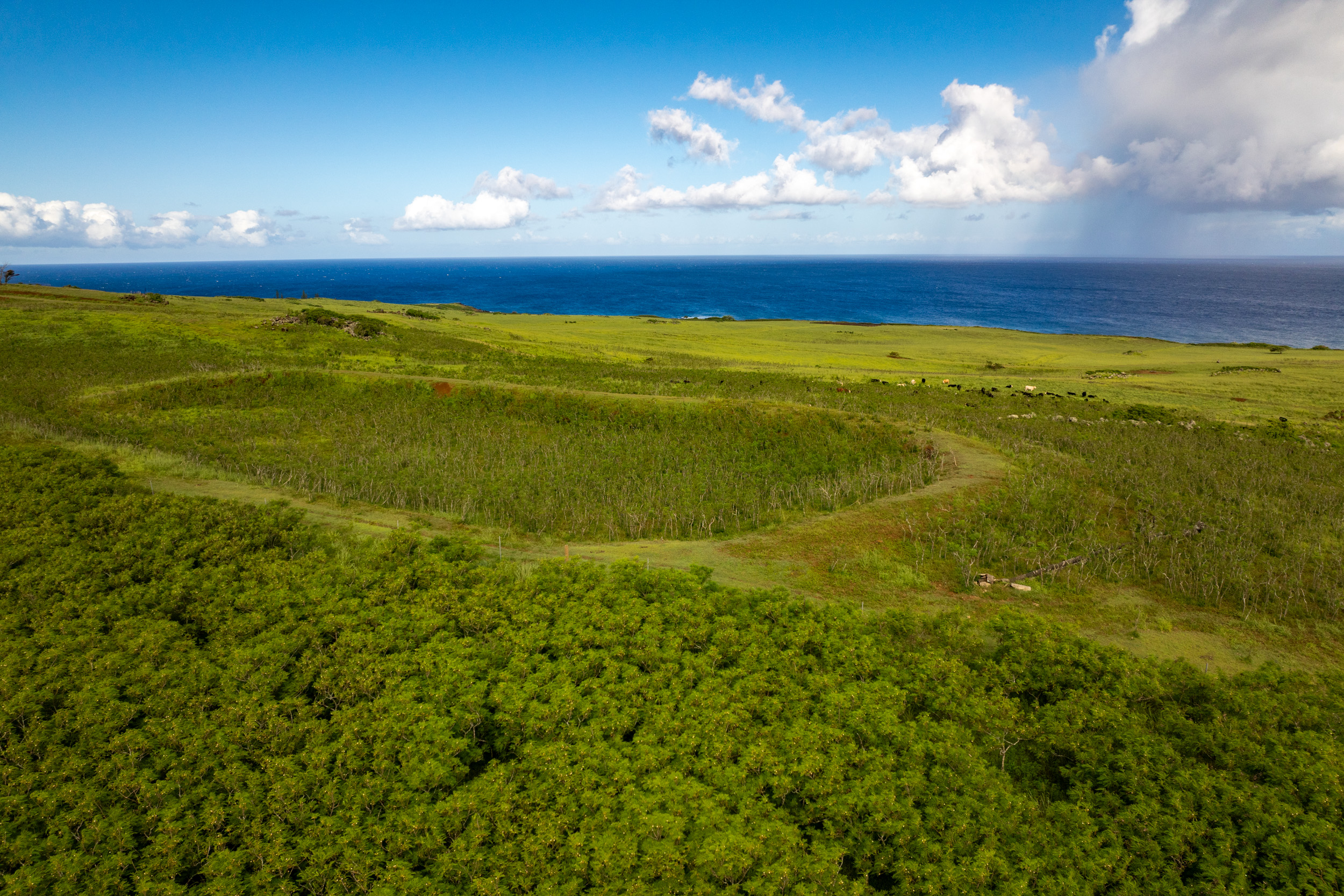 Photo 15 of Lincoln Ave, Hawi