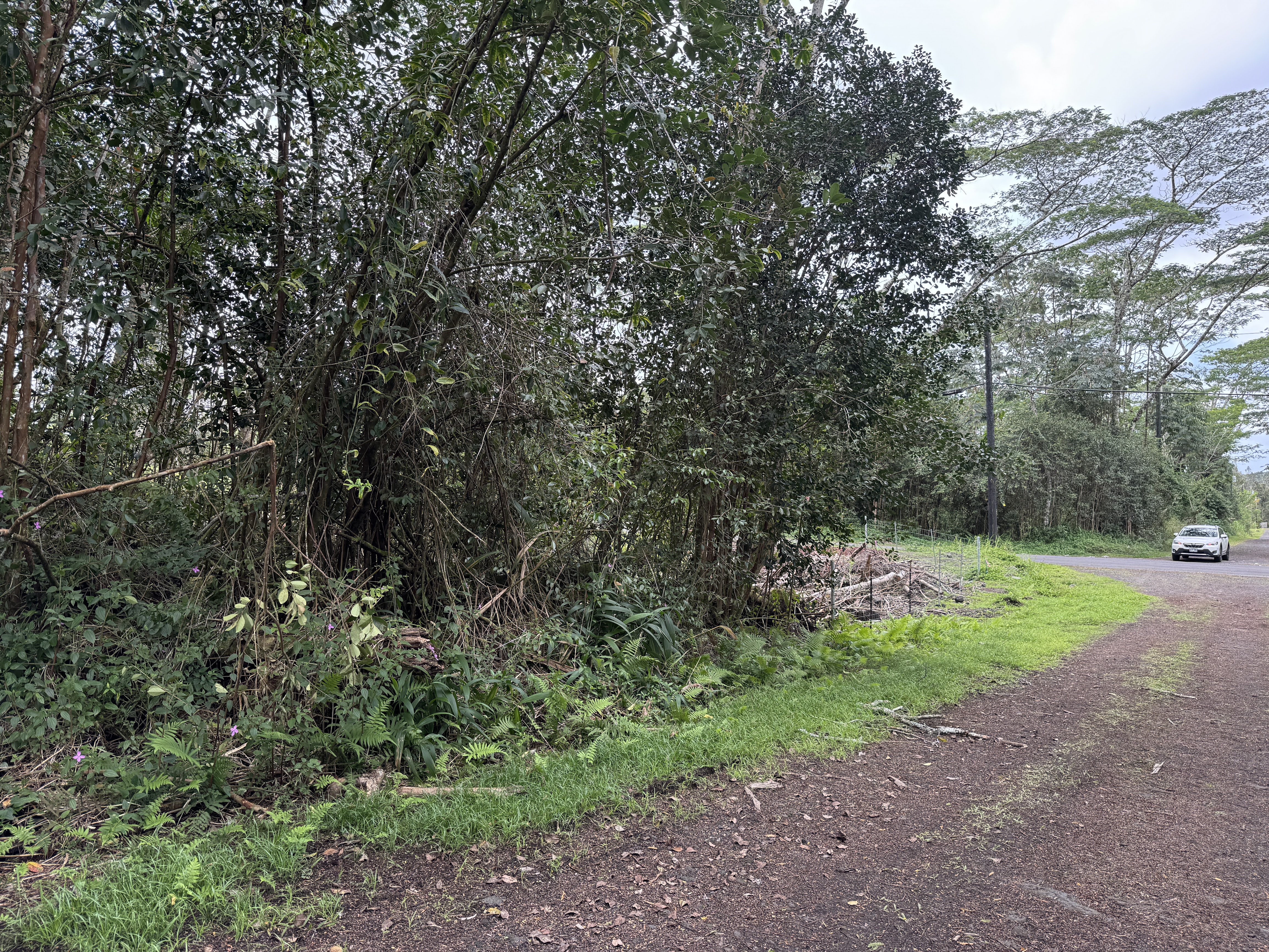 Photo Large Format 6 of 14-657 Kapuna Rd, Pahoa