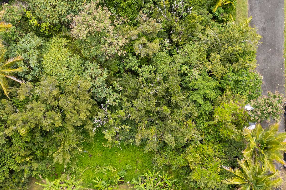 Photo 5 of Kaihulali St, Pahoa