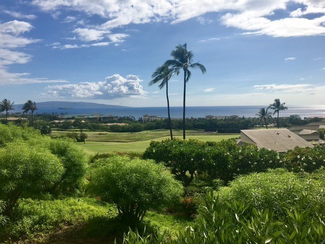 Photo 1 of 10 Wailea Ekolu Pl #911, Kihei