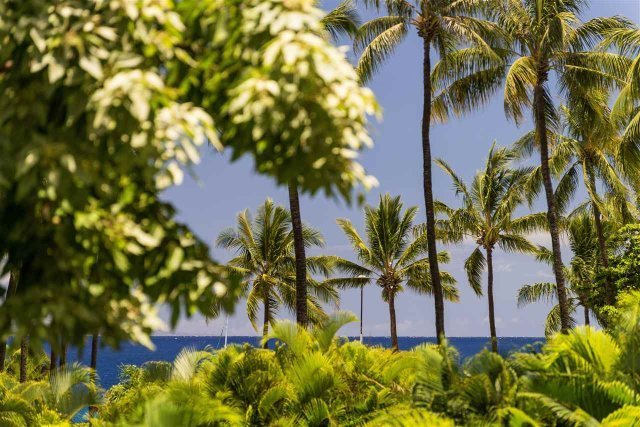 Photo 1 of 45 Kai Ala Dr #A-219, Lahaina