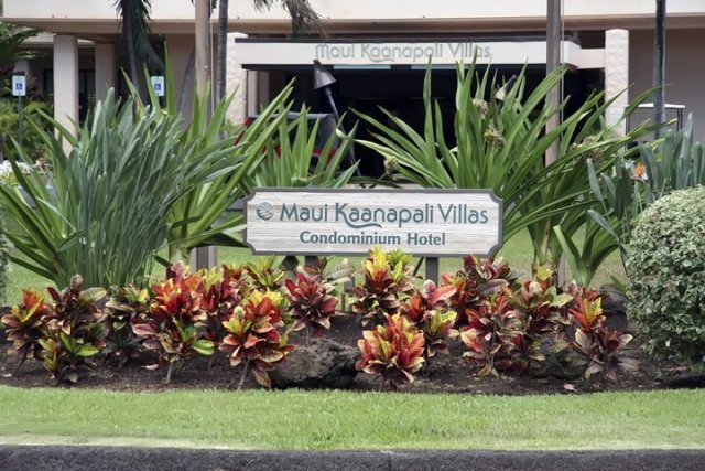 Photo 1 of 45 Kai Ala Dr #A218, Lahaina