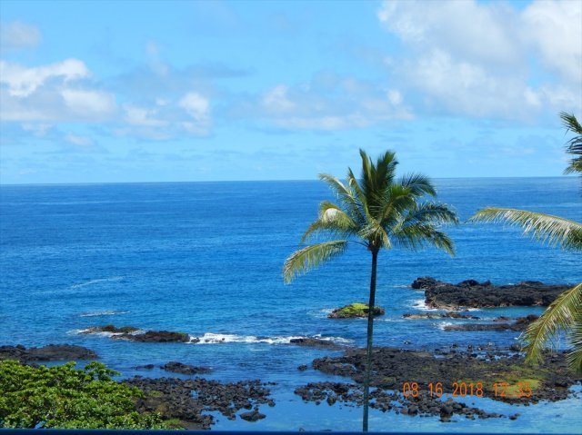 Photo 1 of 1911 Kalanianaole #PH5, Hilo