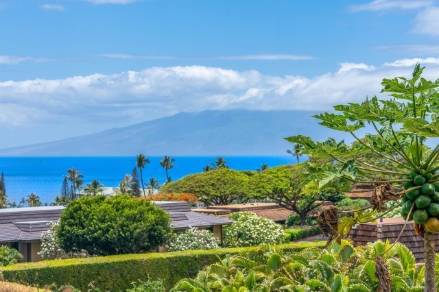 Photo 1 of 150 Puukolii Rd #54, Lahaina