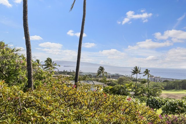 Photo 1 of 10 Wailea Ekolu Pl #902, Kihei