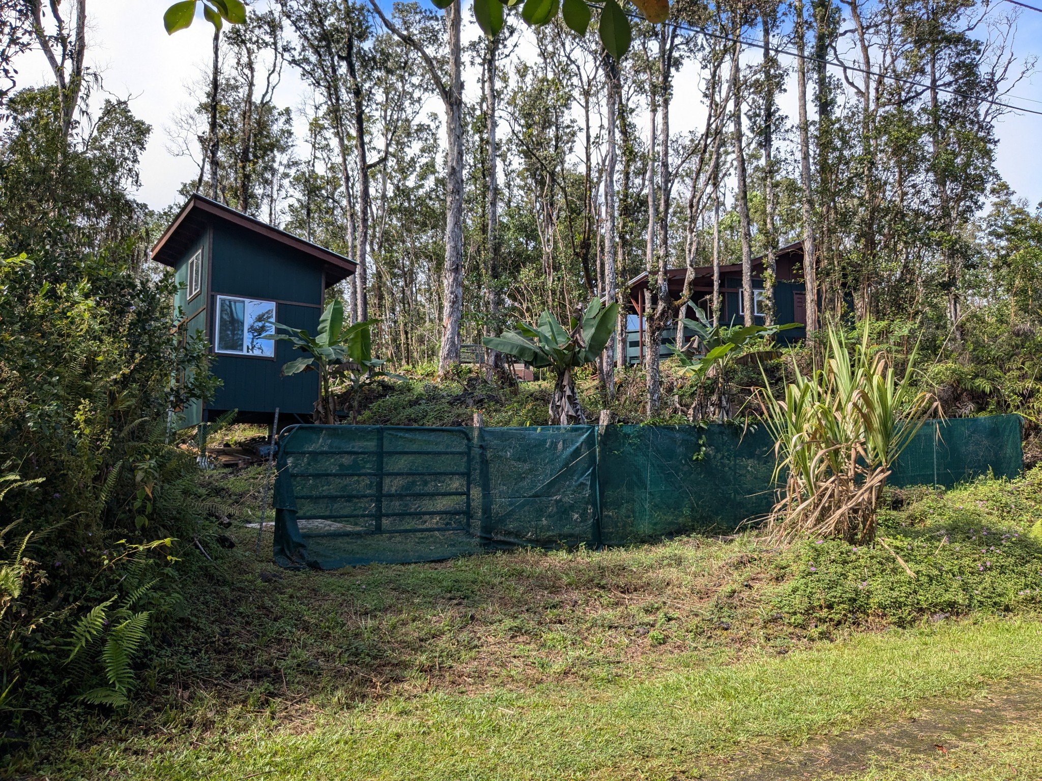 Photo 21 of 81 Upper Puna Rd, Pahoa