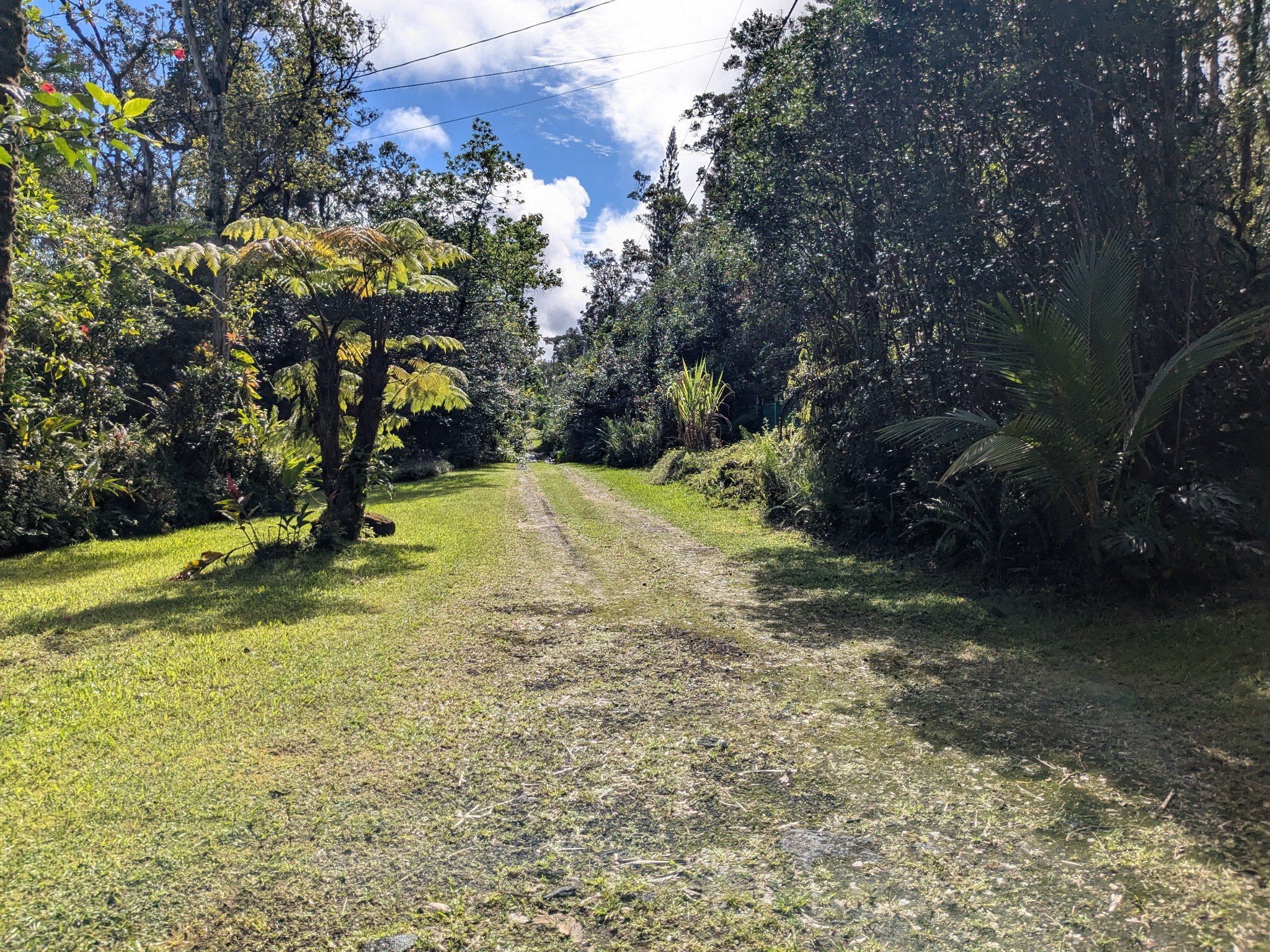 Photo 22 of 81 Upper Puna Rd, Pahoa
