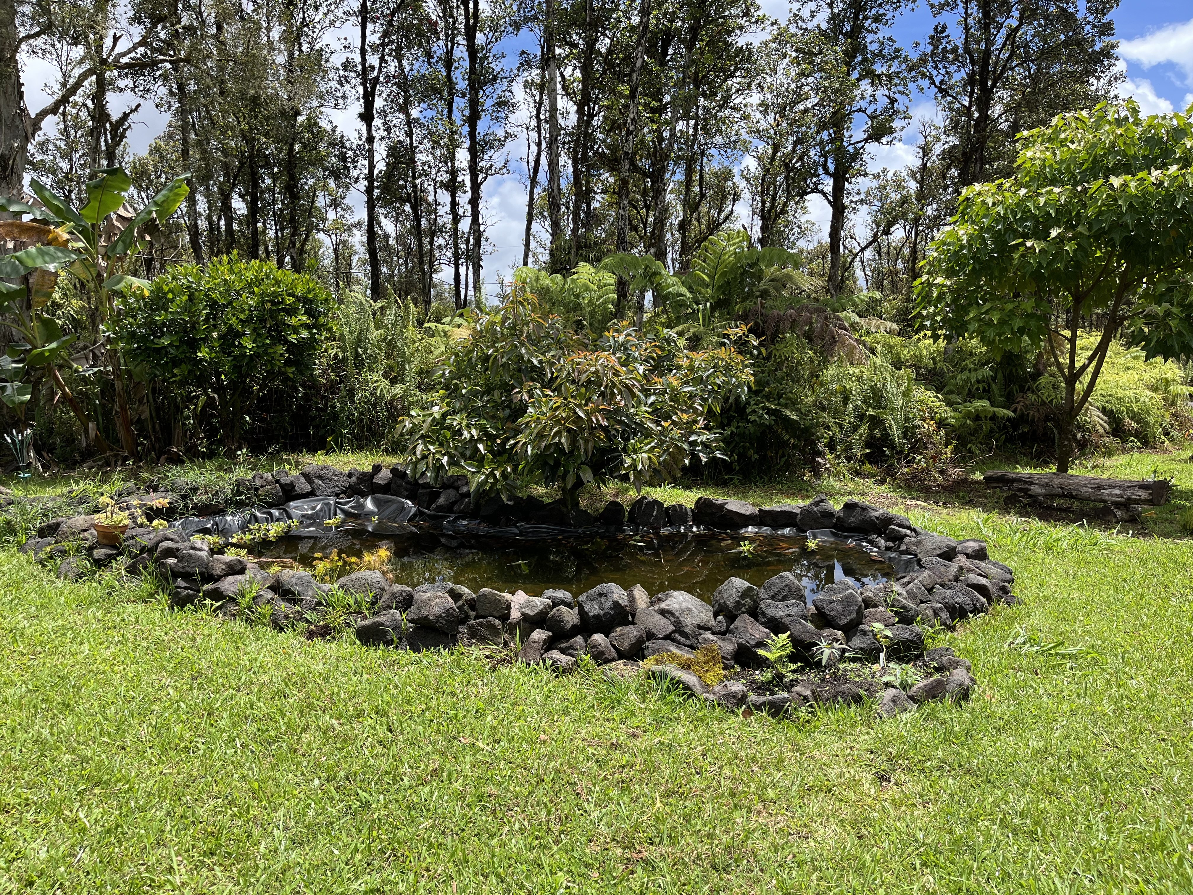 Photo 15 of 11-3293 Pikake St, Mountain View