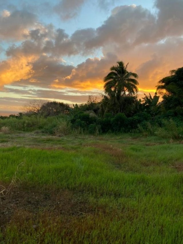 Photo 1 of 1580 Lower Nahiku Rd, Hana