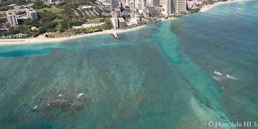 Waikiki Shore