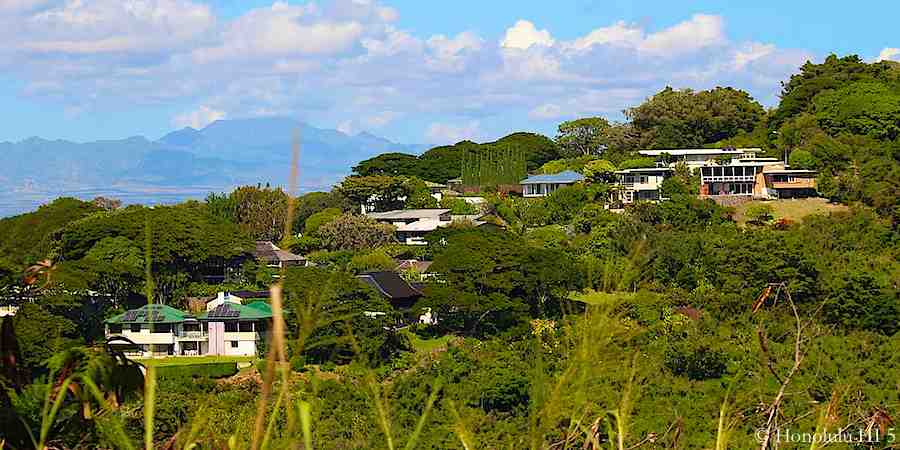 Homes in Tantalus Among Lush Green