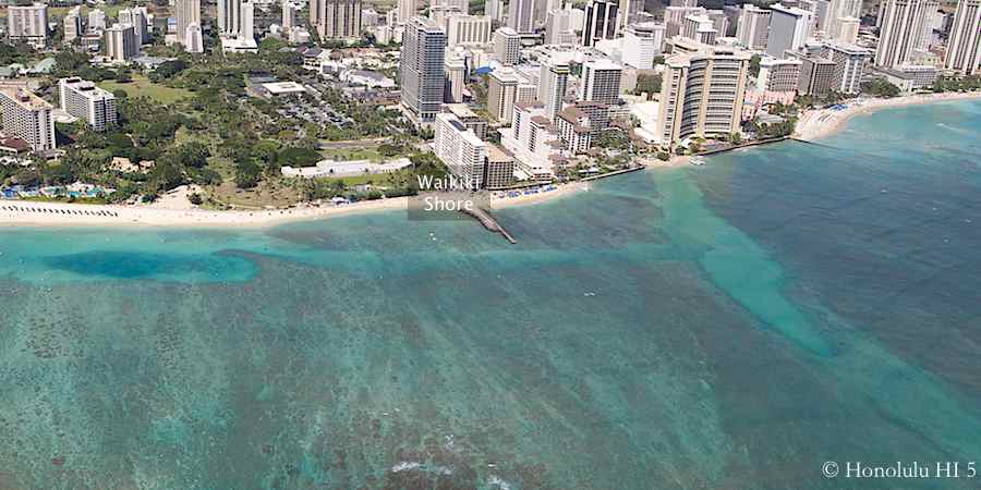 Waikiki Shore