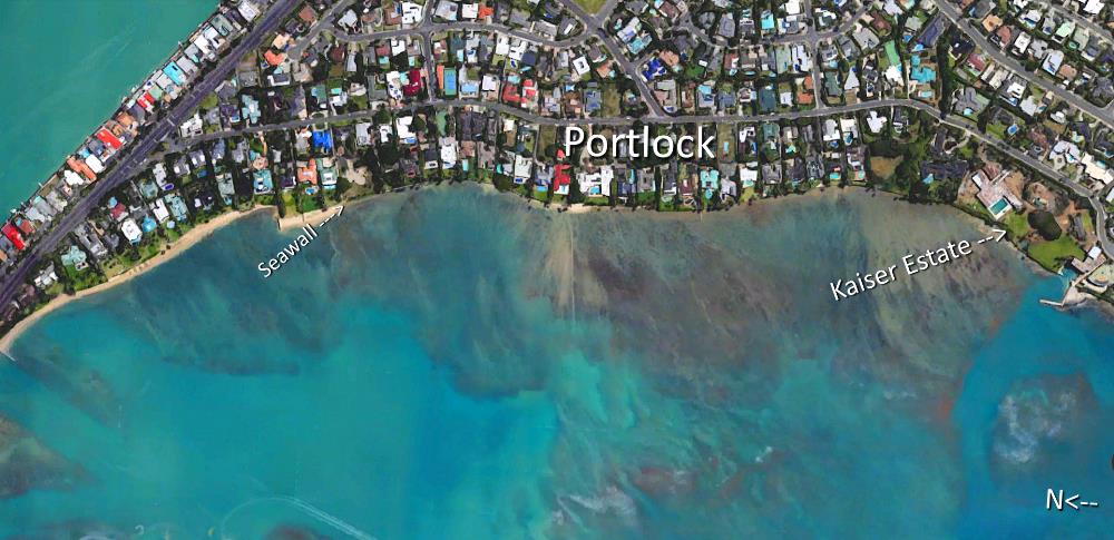 Portlock Aerial Map