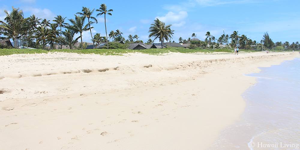 Beach at Kailua Beachside