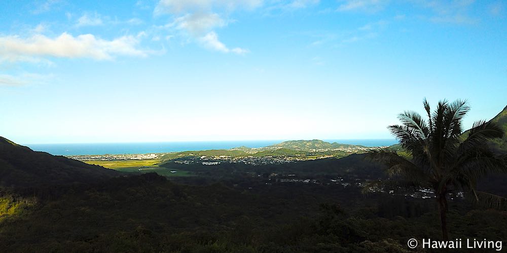 Pali Hwy Scenic Lookout