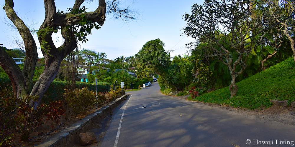 Kailua: Take the High Road